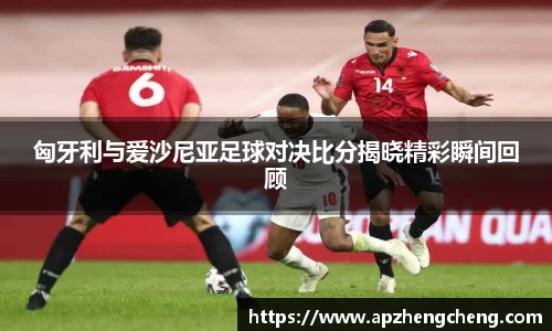 z6mg·人生就是博